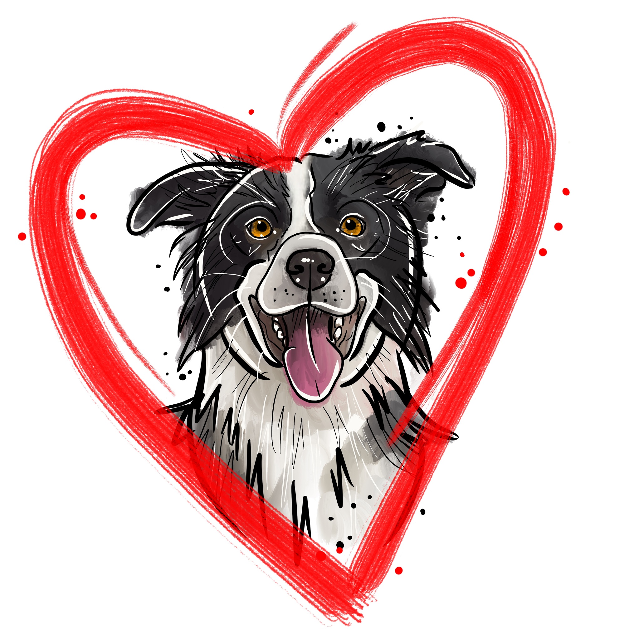 Lékárnička pro psy