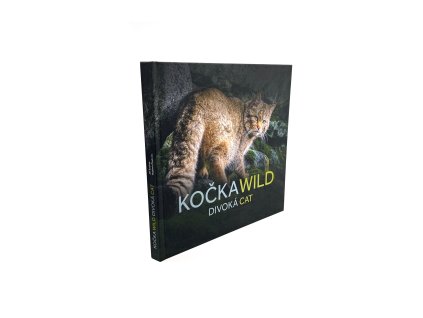KOČKA