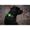 orbiloc green led svetlo na obojek9