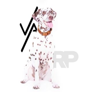 NOVINKA v butiku i e-shopu royalpets.cz | Vasky & RP 😍😍 ...protože „VASKY, to nejsou jenom BOTASKY!!“ 😊 Spojili jsme síly...