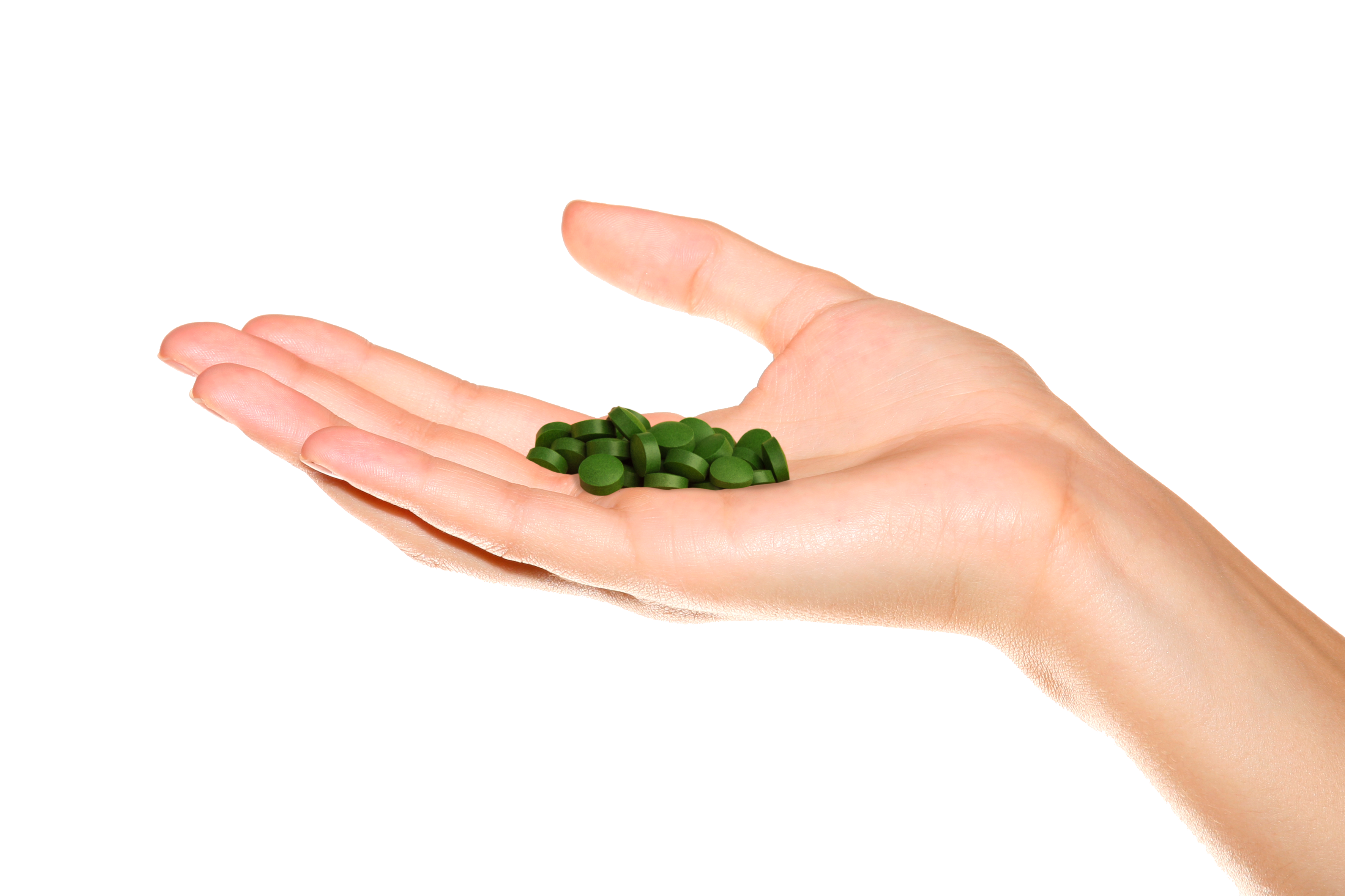 UŽÍVÁNÍ ZELENÝCH POTRAVIN