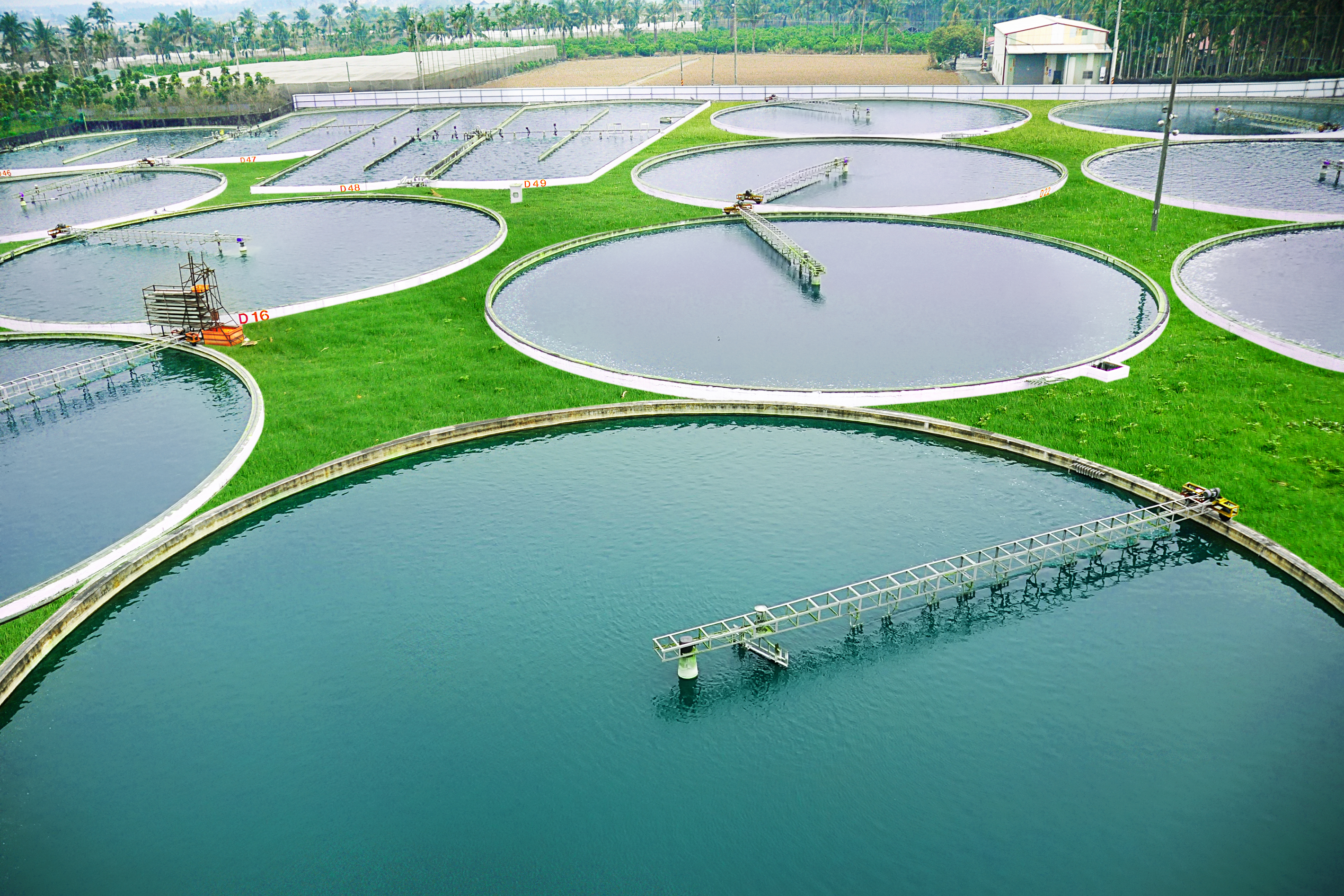 Historie a zpracování chlorelly