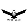 Vapor Giant V6M RTA clearomizér Stříbrná 7,5ml
