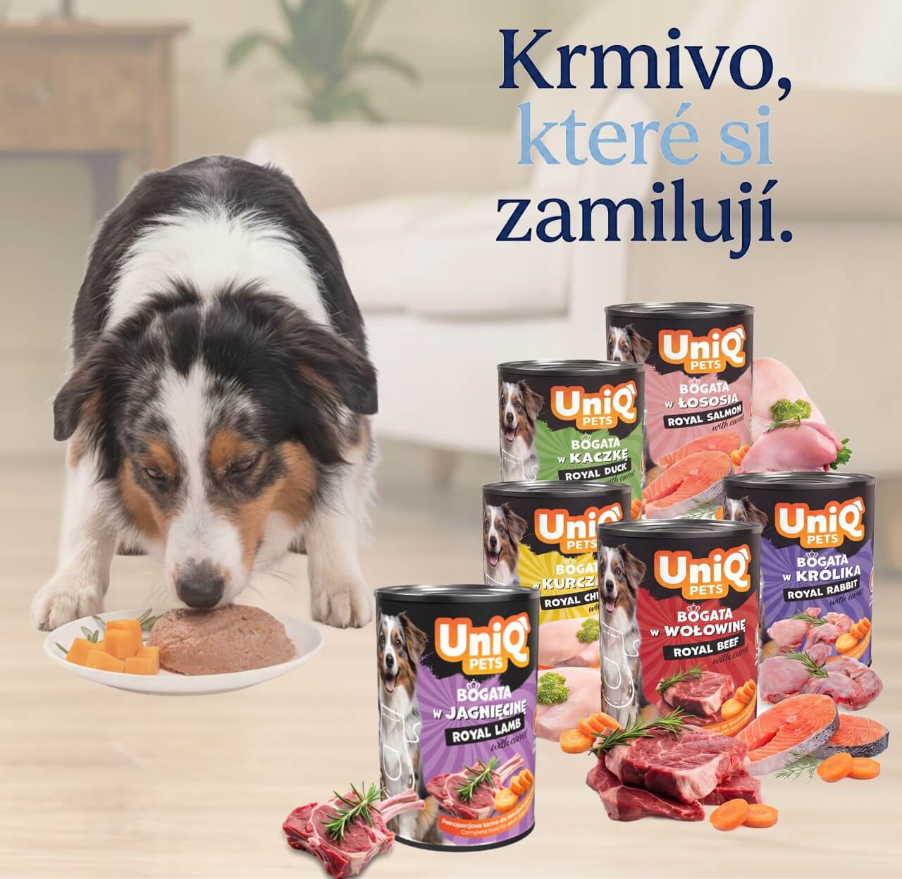 konzervy pro psa.jpg