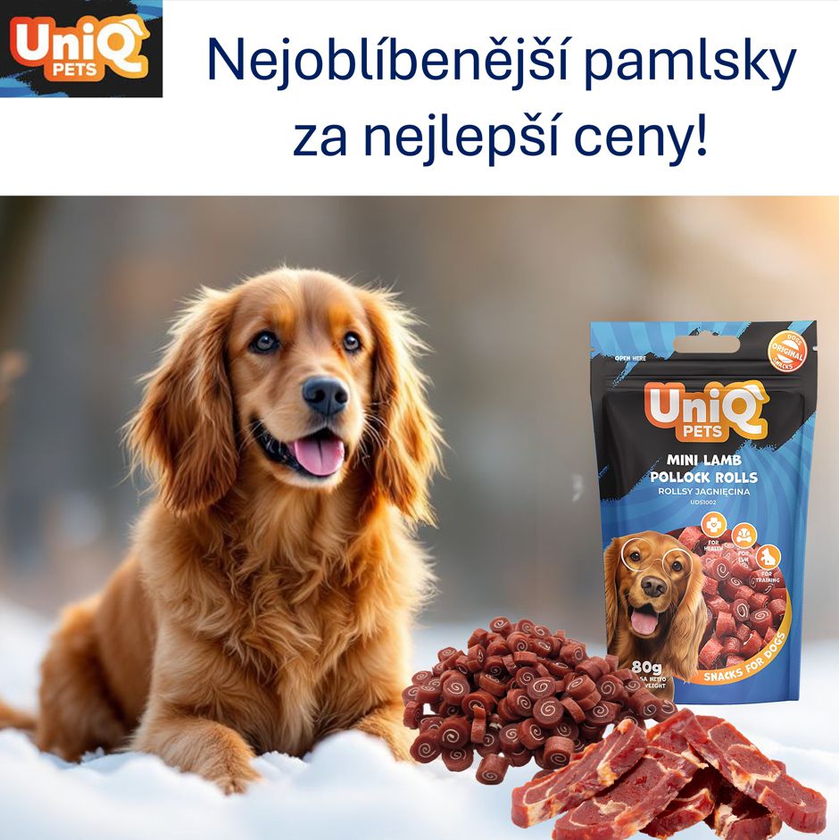 nejoblíbenější pamlsky pro psy