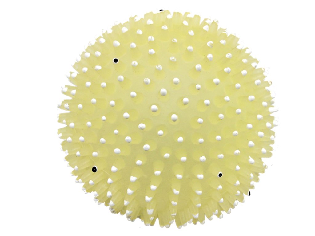 jezecek micek fosforeskujicimi hroty