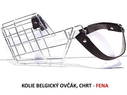 nahubek kovovy kolie belgicky ovcak chrt fena