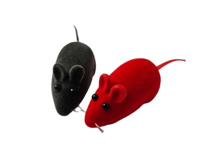 11682 01 removebg preview