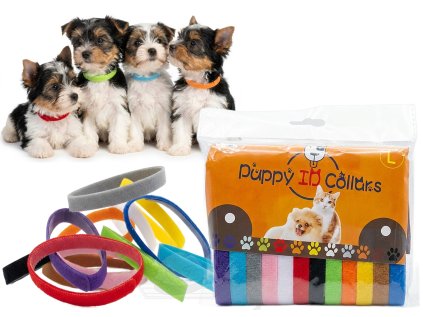 Rozlišovací obojky pro štěňata malá plemena