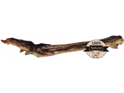 pstrosi-parat-natural-