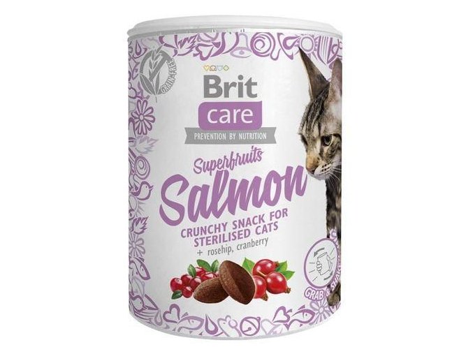 Brit Care Cat Snack Superfruits Salmon 100g