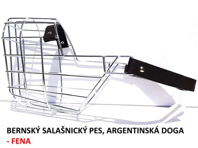 nahubek kovovy bernsky salasnicky pes argentinska doga fena