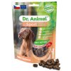 dr--animal-sportline-losos