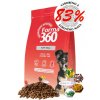 forma dog puppy small 2kg