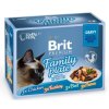 Brit Premium Cat Delicate Fillets in Gravy Familly Plate 1020g (12x85g)