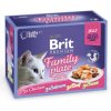 Brit Premium Cat Delicate Fillets in Jelly Family Plate 1020g (12x85g)