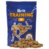 Brit Training Snack M 100g