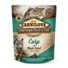 Carnilove Dog Pouch Paté Carp with Black Carrot 300g