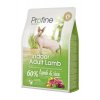 Profine Cat Indoor Adult Lamb 2kg