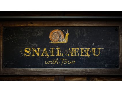 Lucid Origin artistic portrait photography of artistic portrai 3