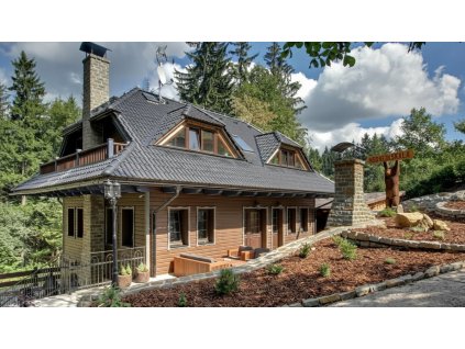 gemini 2.5 flash image Transform the uploaded photo to a fully enhanced premium and realistic version. 0 2