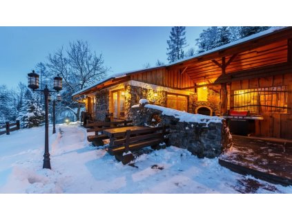 gemini 2.5 flash image Transform the uploaded photo to a fully enhanced premium and realistic version. 0 10