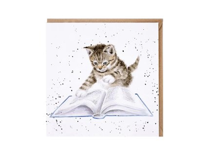 Kotě čte knihu 1
