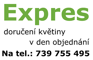Expres doručení květin Praha Stodůlky
