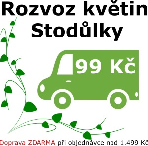 Rozvoz květin Praha Stodůlky