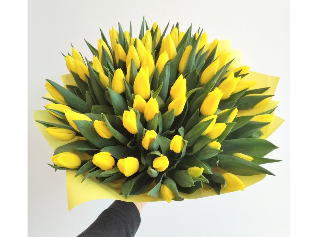 tulipány praha luka (1)