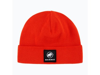 Fedoz Beanie