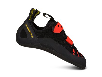 30j 999311 tarantula black poppy 1 1