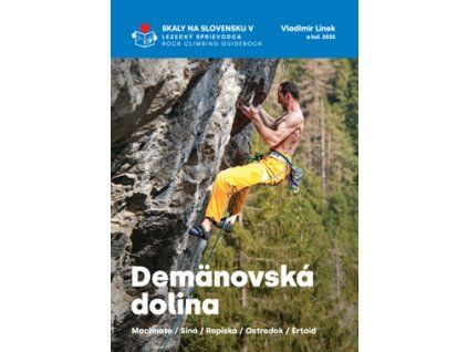 dd2v (2)