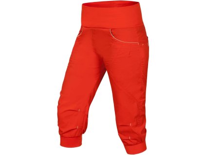Noay Shorts