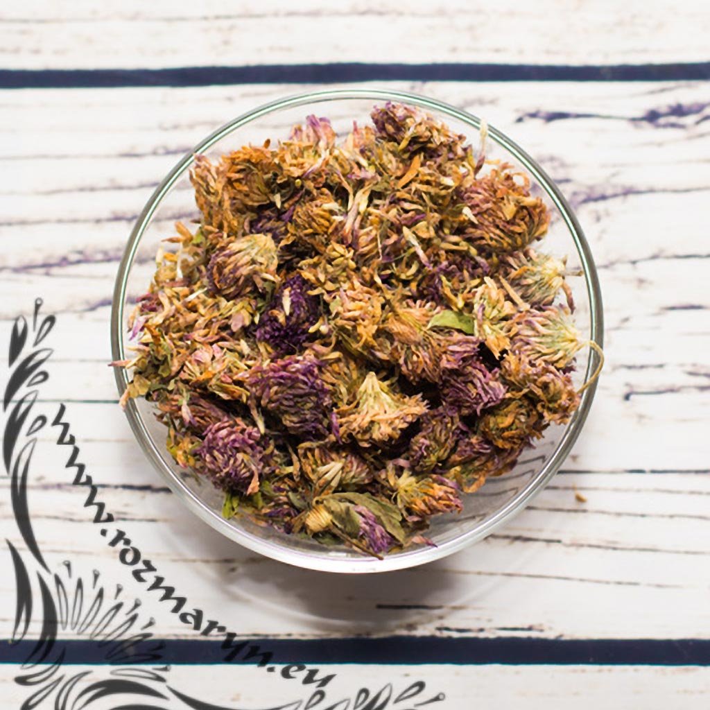 220 jetel cerveny kvet