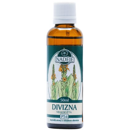 P54 divizna