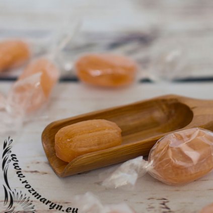 559 sipkove s vitaminem c bonbony 100g