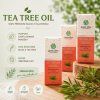 teatree