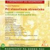 Pri vianocnom stromceku B