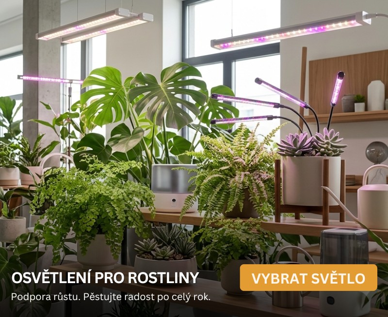 Osvětlení pro růst rostlin