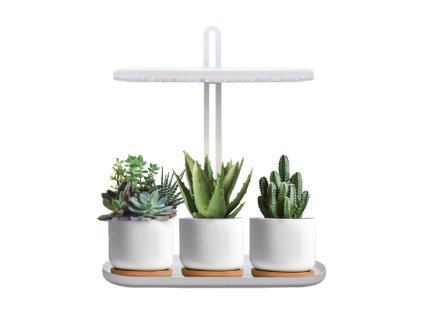 plant grow light led bloom 12w 4500k kobi design 5043d4589930451f8ee5dce2fb01b43b 441eccc9