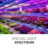 led grow lamp led vitaro 3 clip 10w kobi design 13beb554919847f3b13db0b325e477ad de017cb3