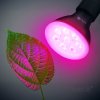 led grow bulb led planty b e27 7w e27 1200k black kobi design cea7d55070b8437ea0eb550864c52238 399f67c7