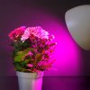 led grow bulb led planty gs e27 11w e27 1200k kobi design 56c1642271de46e78519b0114618f546 534c4634