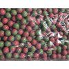 Paintballs cal .68 Seven Anger Red/Green-Yellow