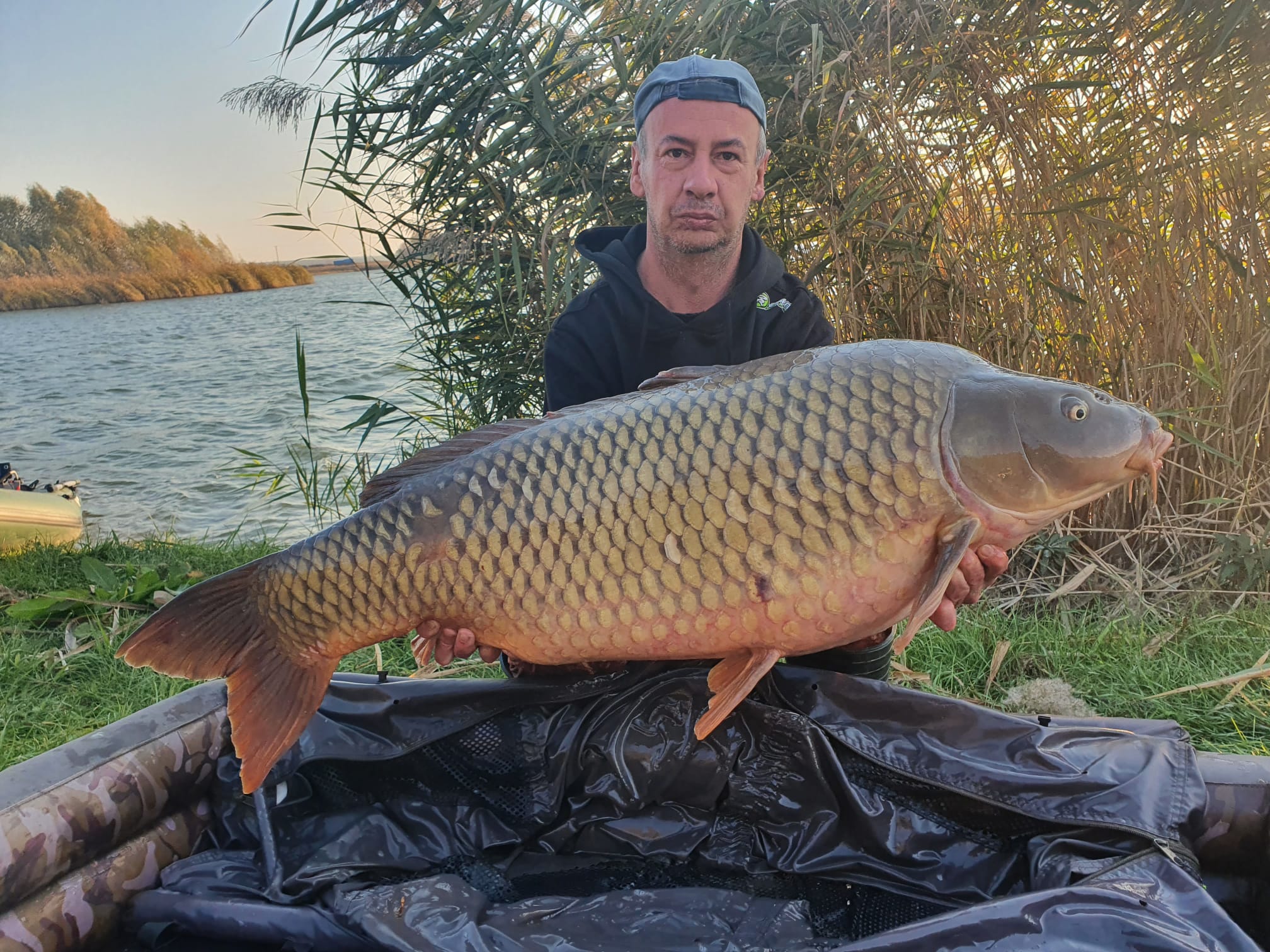 Nový osobák na oblíbený ananas