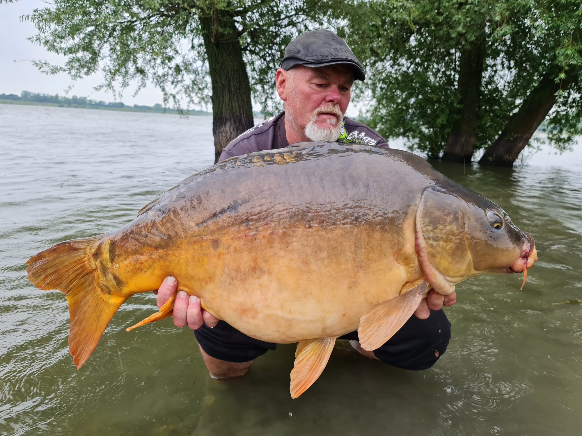 Kapři z maďarské přehrady podruhé