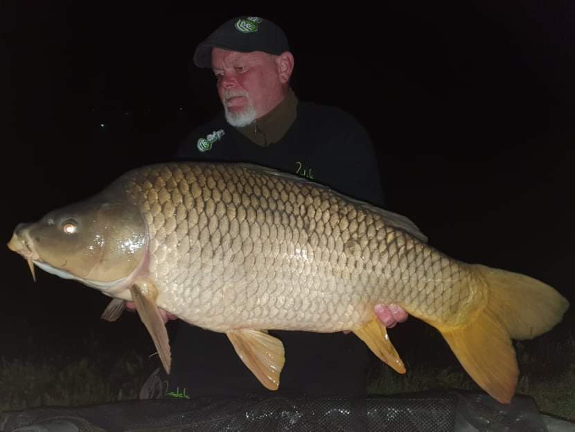 Kapři z maďarské přehrady