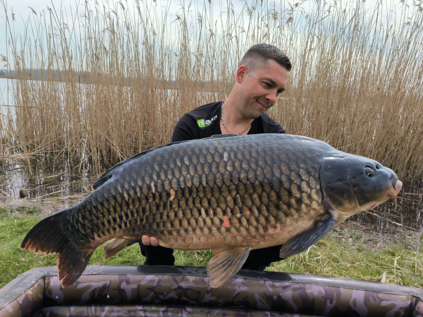 Ananas na jaro nezklame