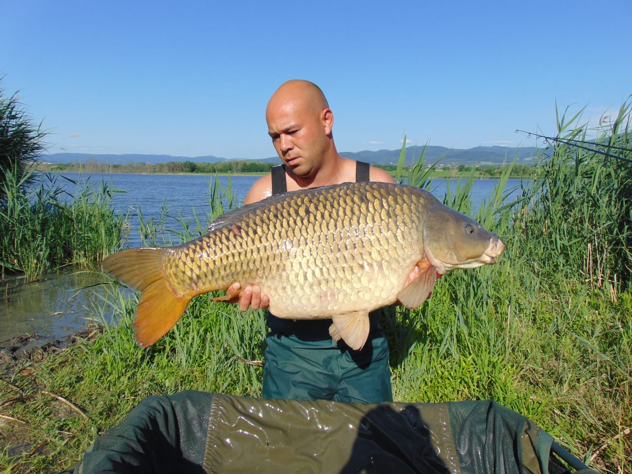 Top Enzym opět nezklamal